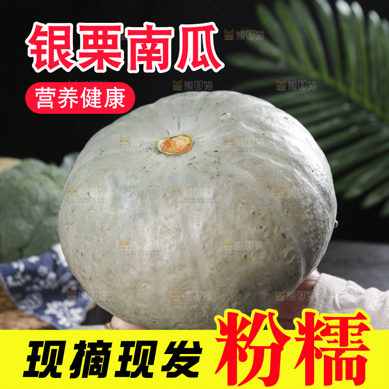 深底上的银栗南瓜