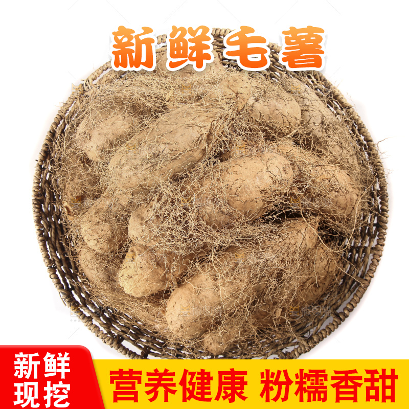 白底上的新鲜毛薯