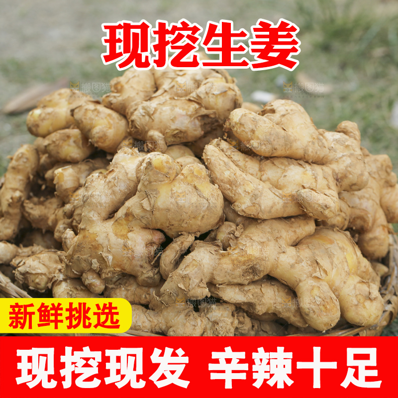 手里拿着新鲜生姜