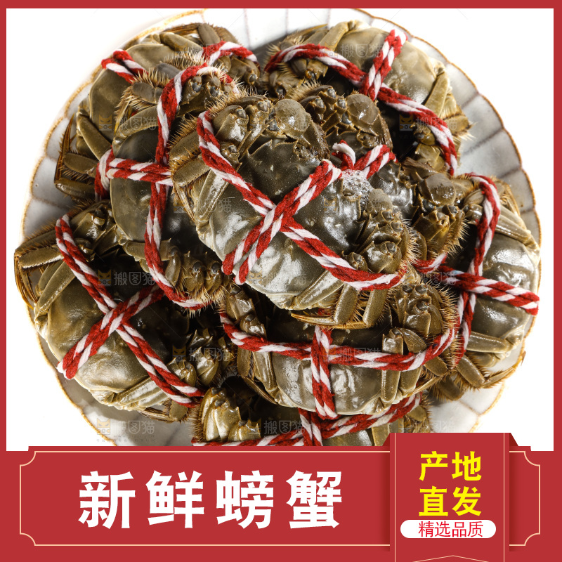 白底上的大闸蟹