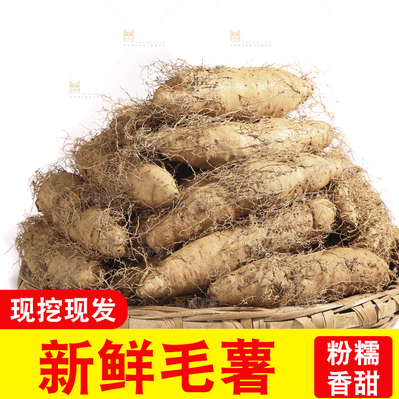 白底上的新鲜毛薯