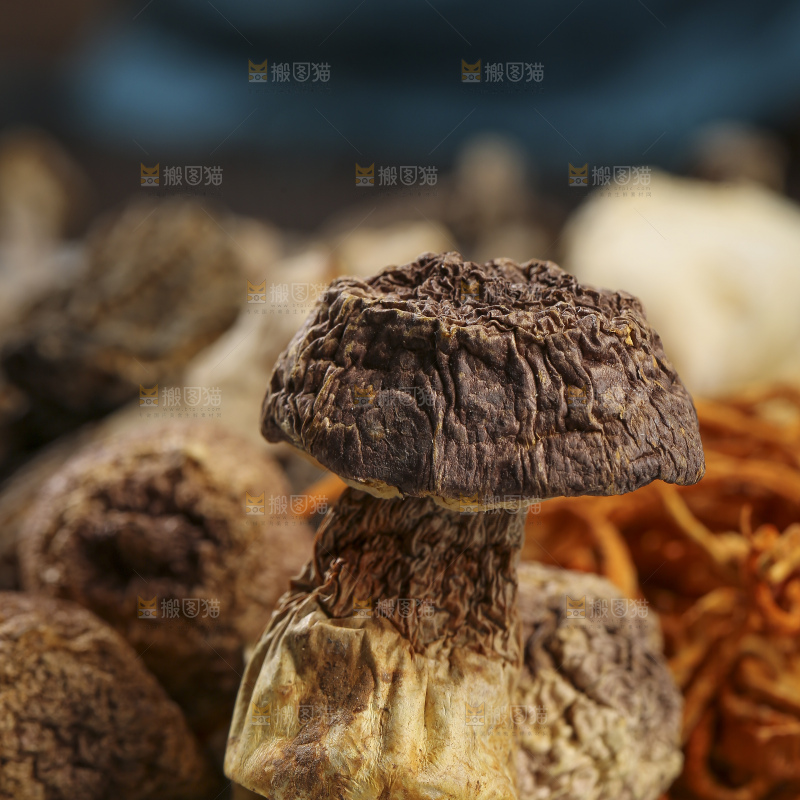 木底上的菌菇汤