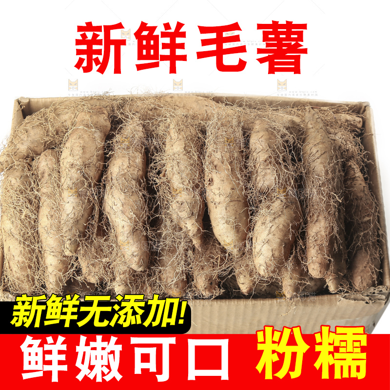 白底上的新鲜毛薯