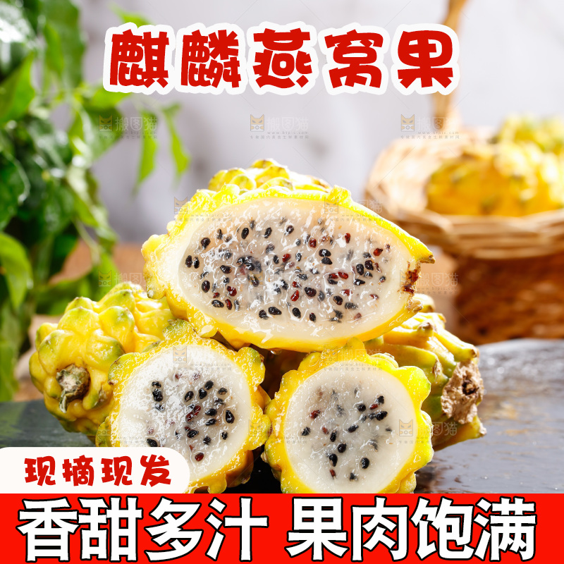 深底上的燕窝果