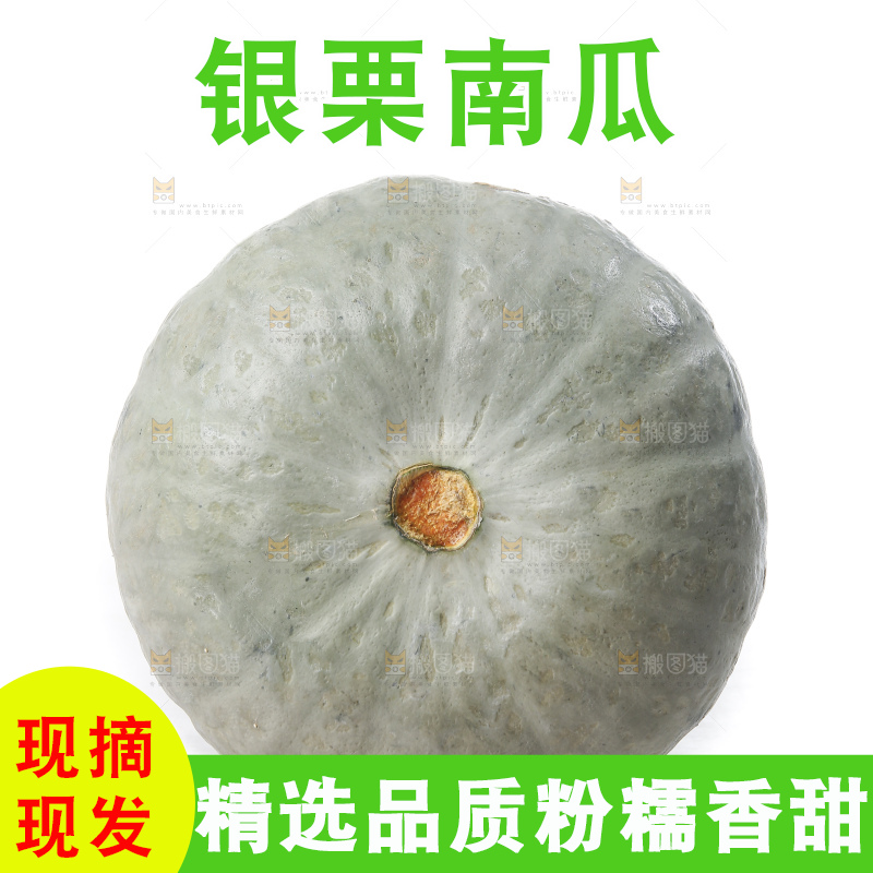 白底上的银栗南瓜