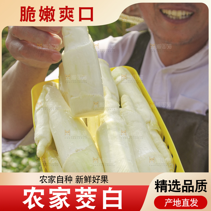 手里拿着新鲜茭白