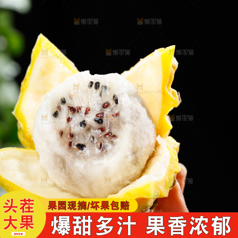 深底上的燕窝果