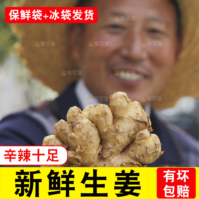 手里拿着新鲜生姜