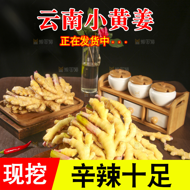 深底上的小黄姜