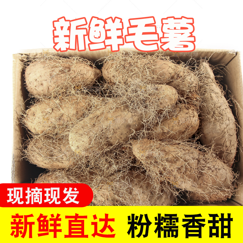白底上的新鲜毛薯