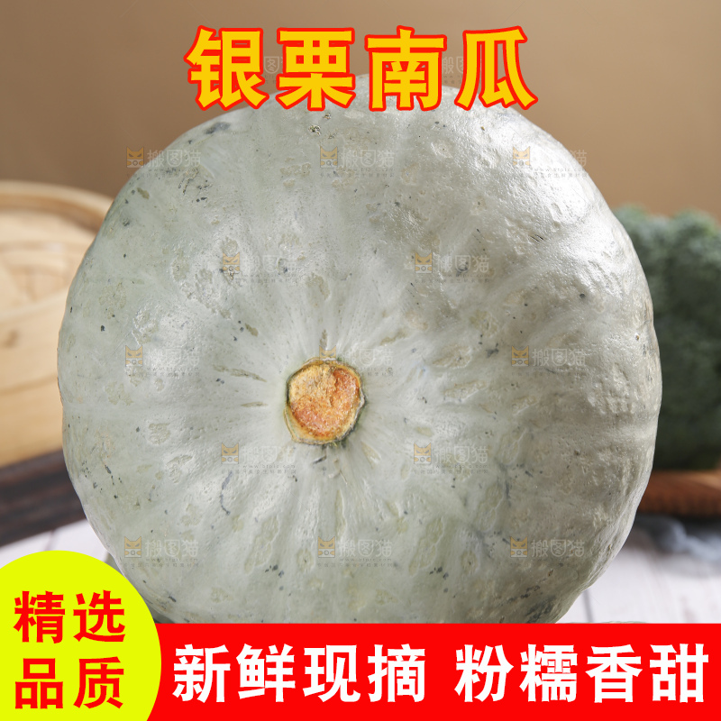浅底上的银栗南瓜