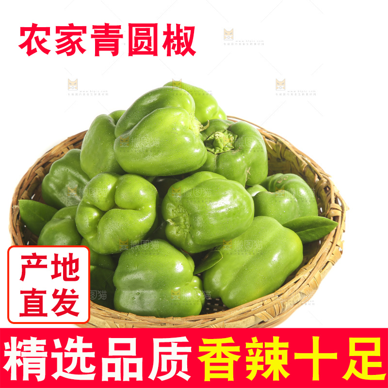 白底上的青圆椒