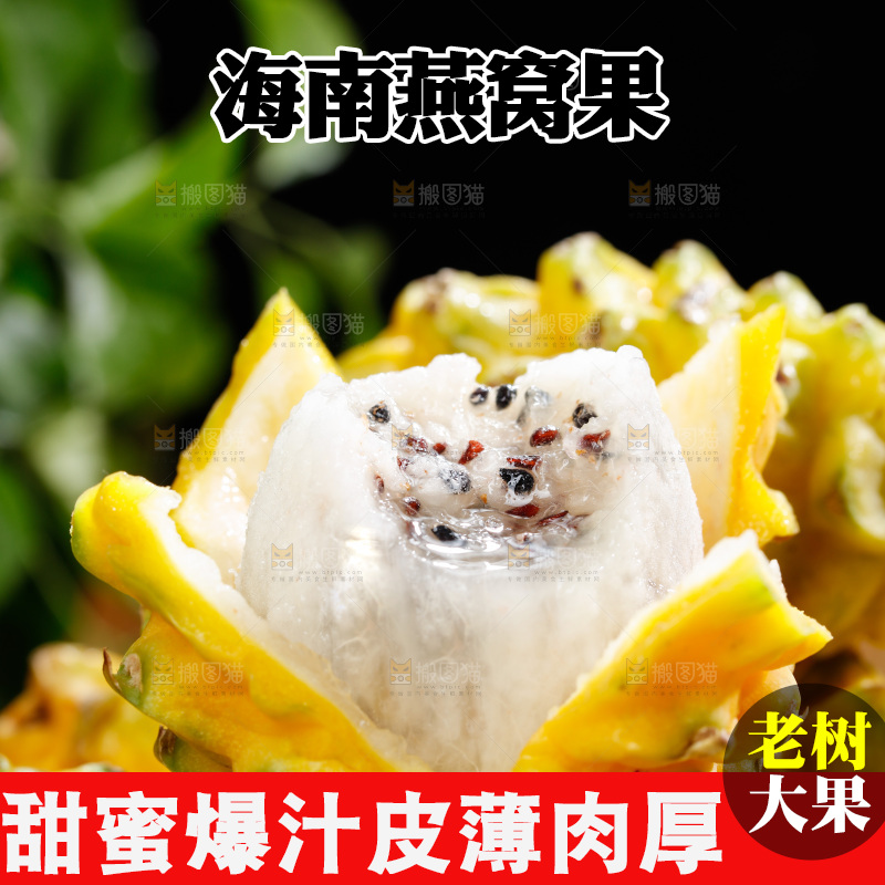 深底上的燕窝果