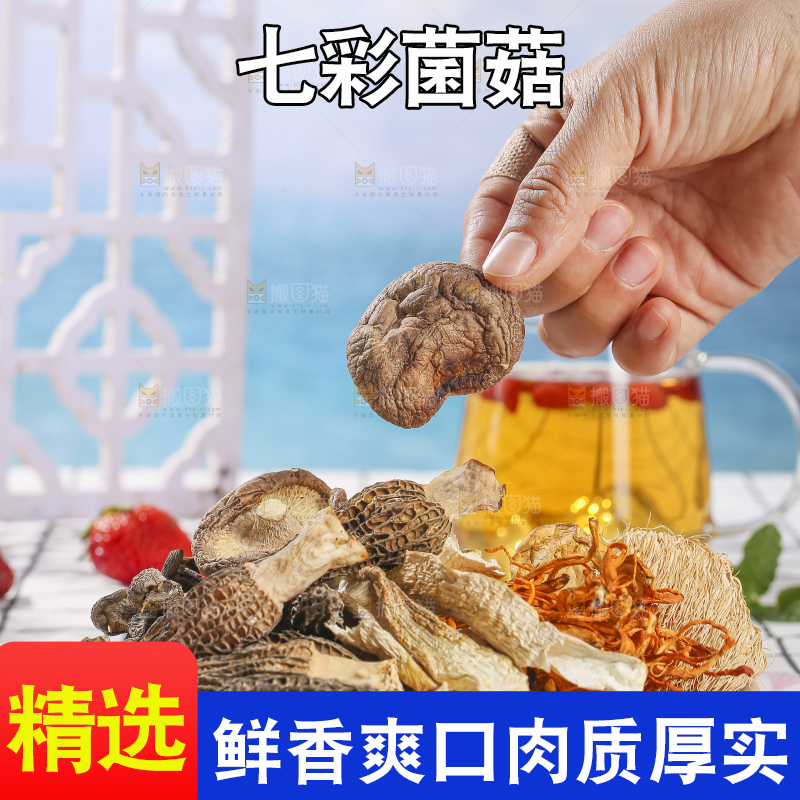 浅底上的七彩菌菇