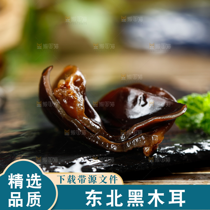 黑石板上的小木耳