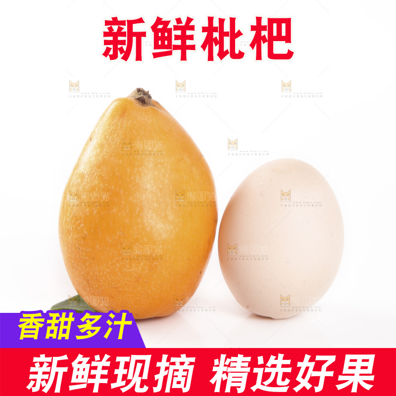 白底上放着枇杷和鸡蛋对比