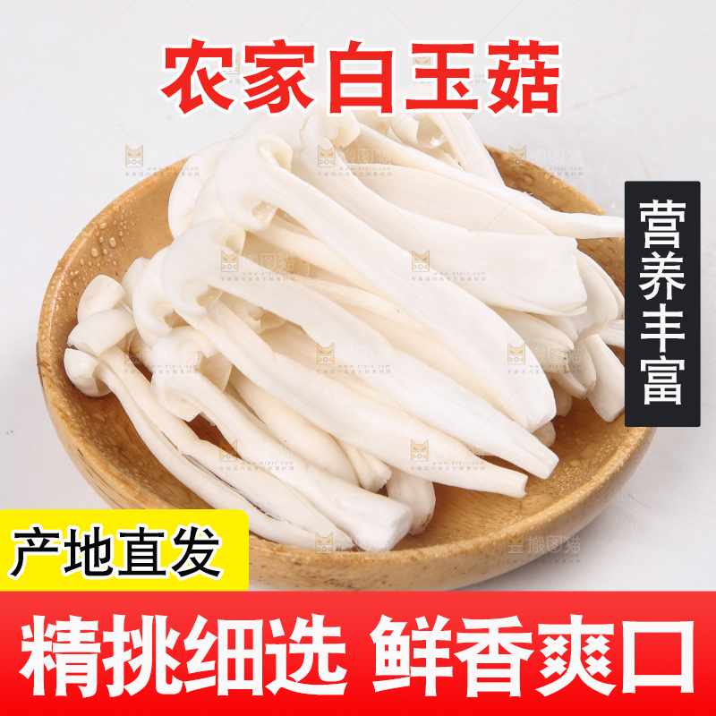 白底上的白玉菇