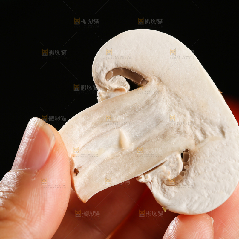 木底上的口蘑