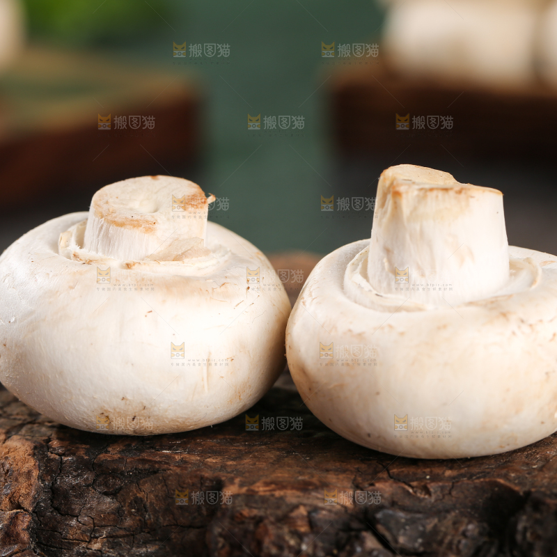 深底上的口蘑