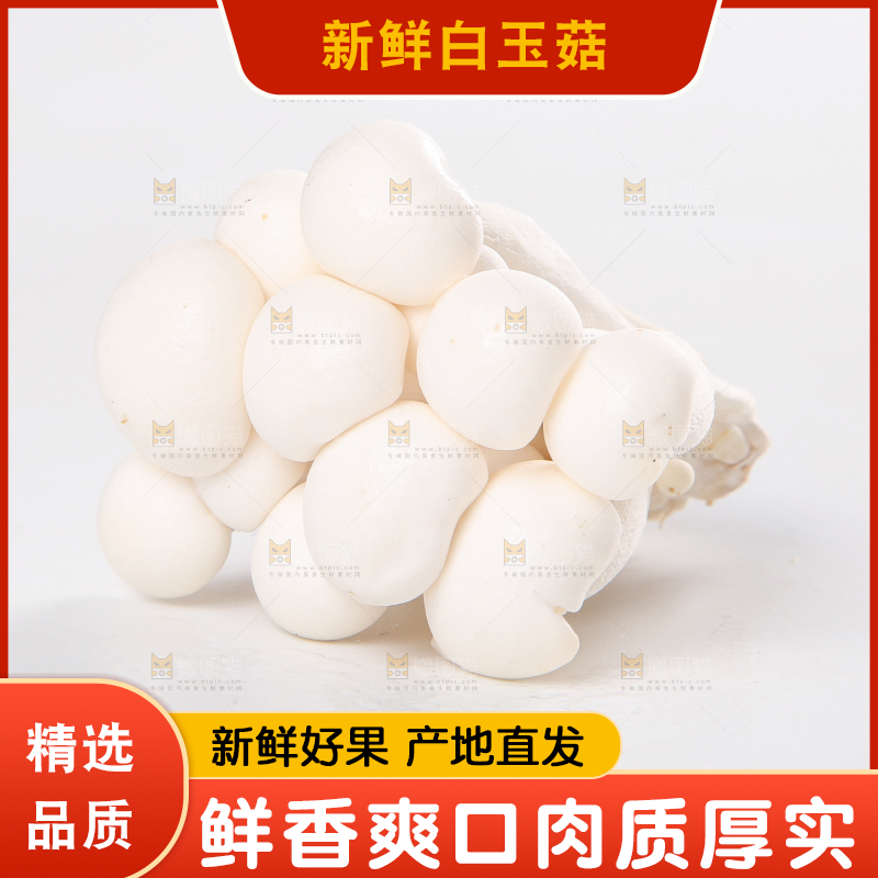 白底上的白玉菇