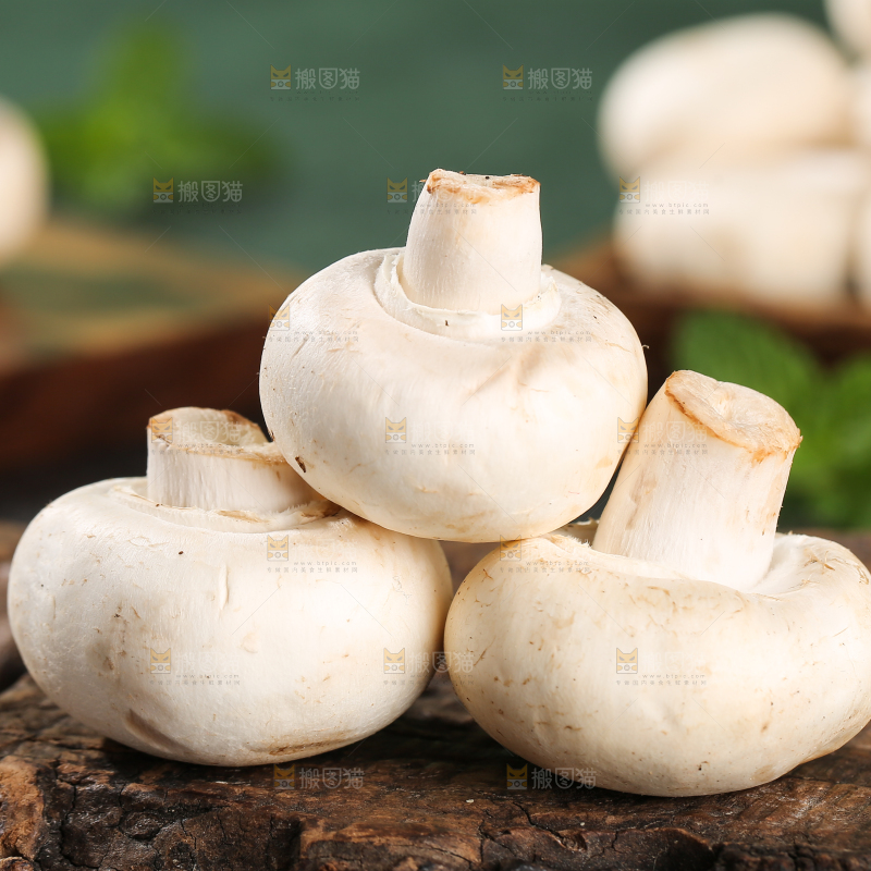 深底上的口蘑