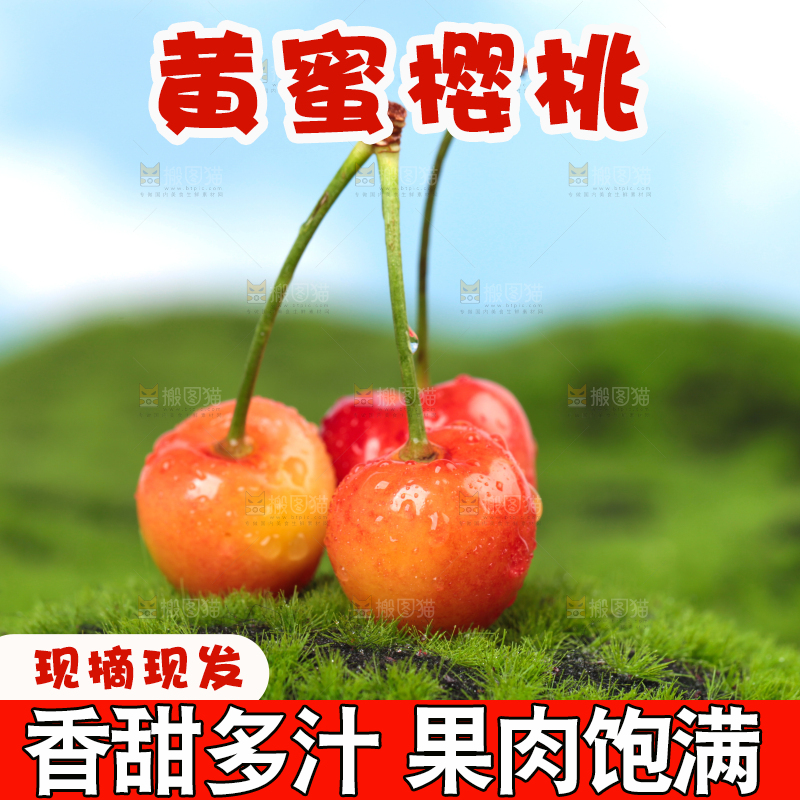 草地上的黄蜜樱桃
