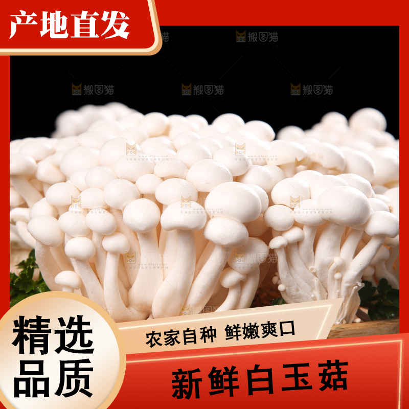 深底上的白玉菇