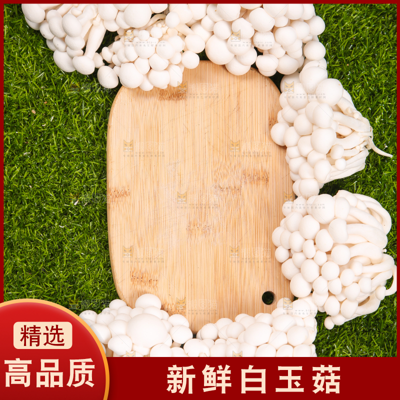 草地上的白玉菇