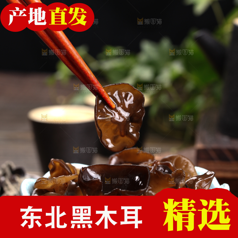 木底上的野生木耳