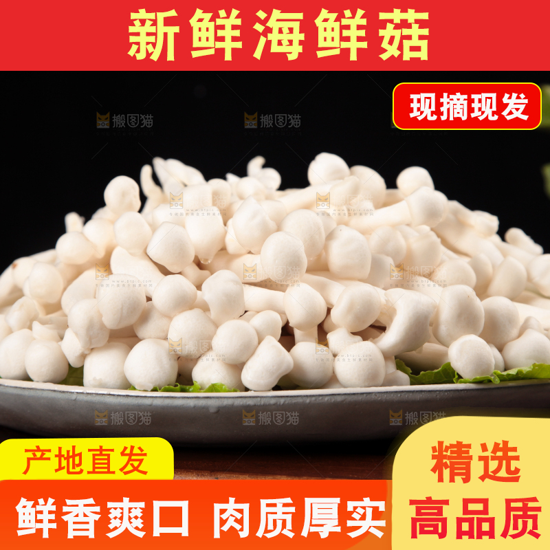 深底上的海鲜菇