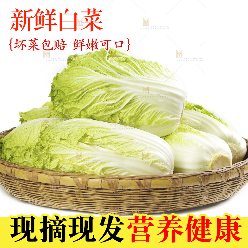 篮子里装着大白菜