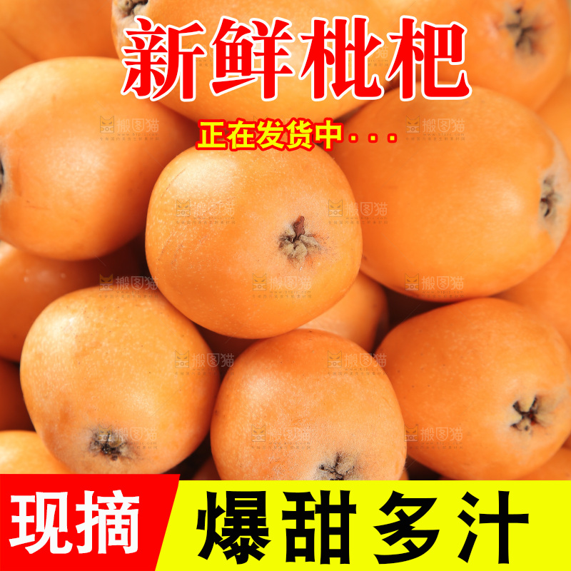 篮子里装着米易枇杷