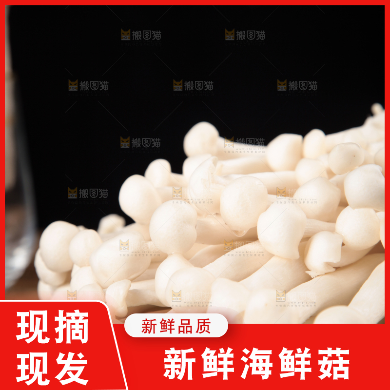 深底上的海鲜菇