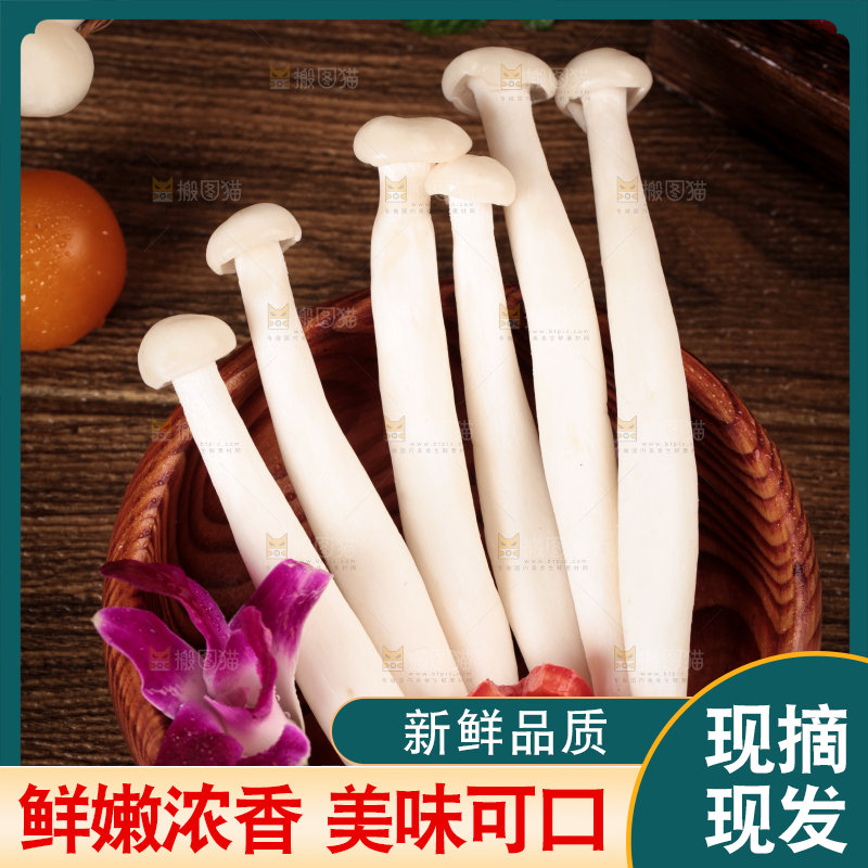 深底上的海鲜菇
