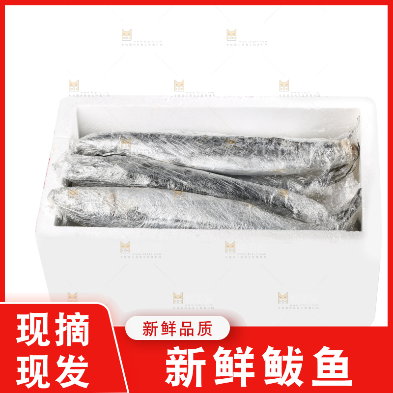 白底上的新鲜鲅鱼