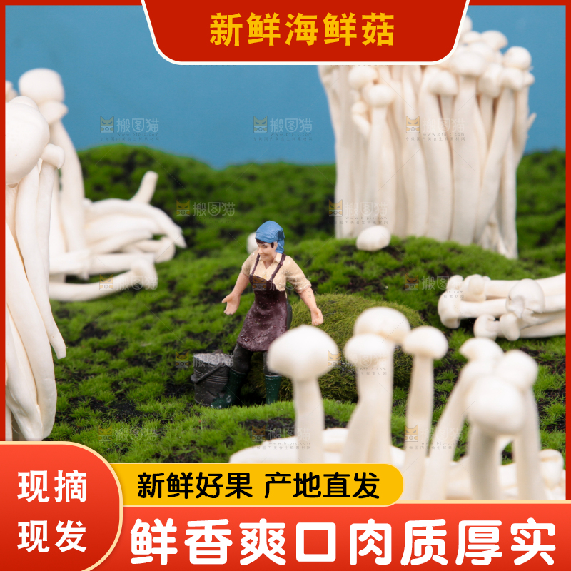 草地上的海鲜菇