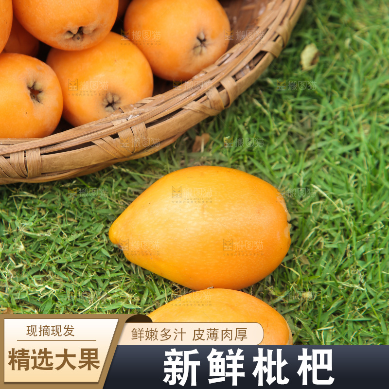 草地上放着米易枇杷