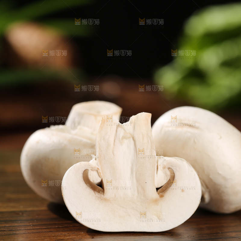 木底上的口蘑