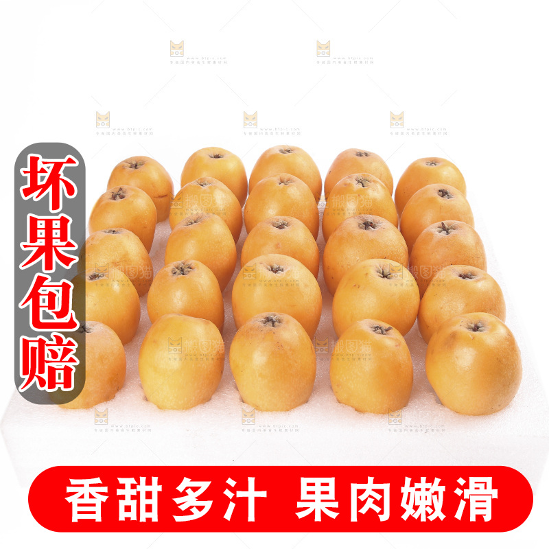 白底上的枇杷果