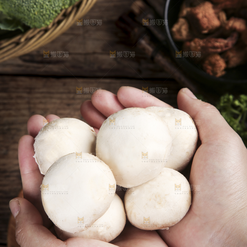 深底上的口蘑