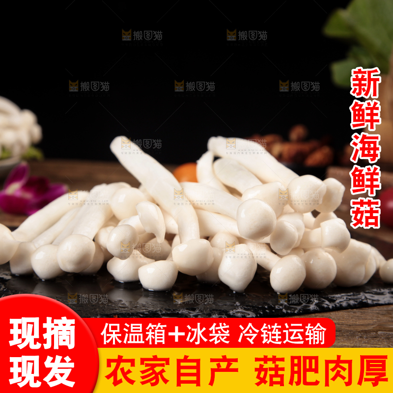 深底上的海鲜菇