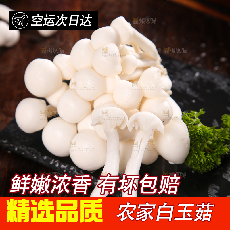 深底上的白玉菇