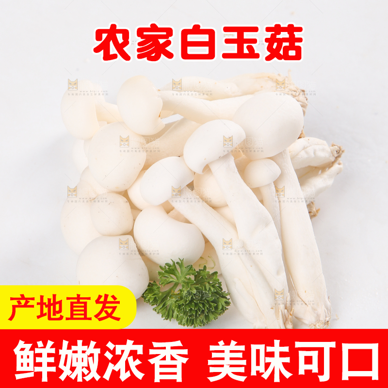 白底上的白玉菇
