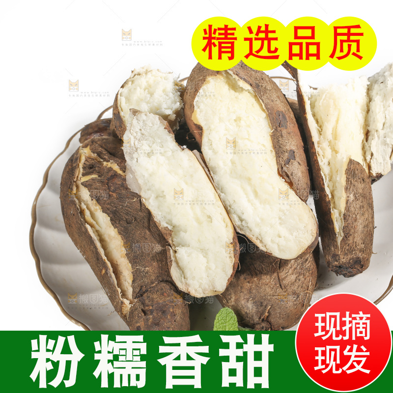 白底上的云南山药