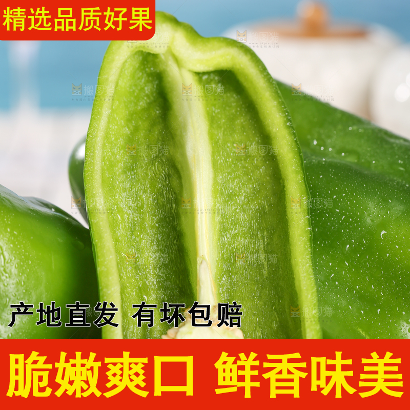 浅底上的青圆椒