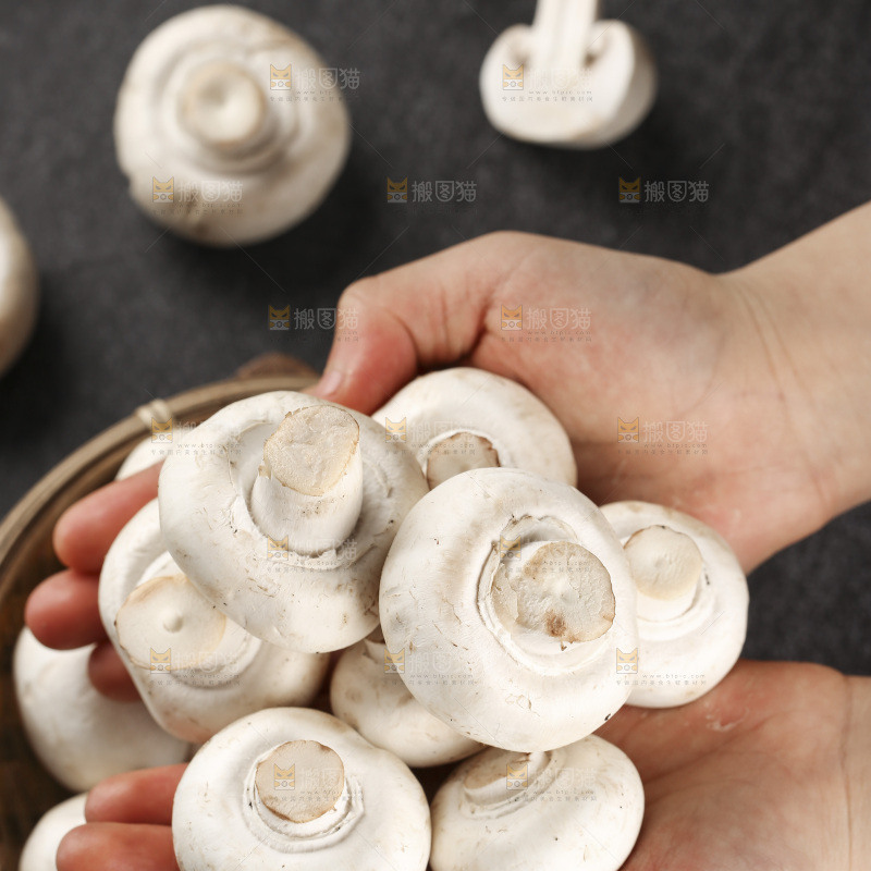 深底上的口蘑