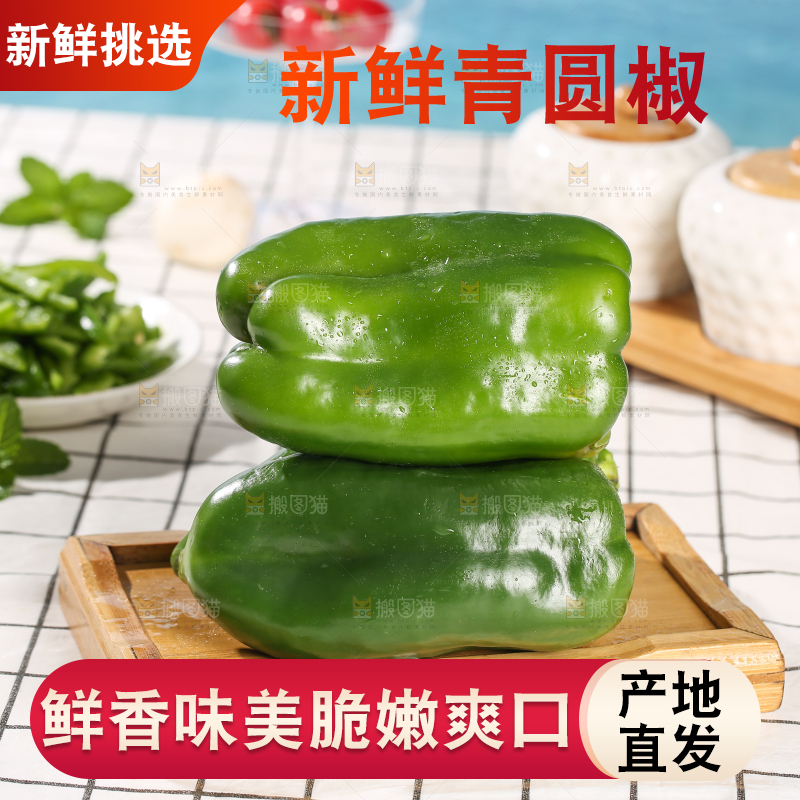 浅底上的青圆椒