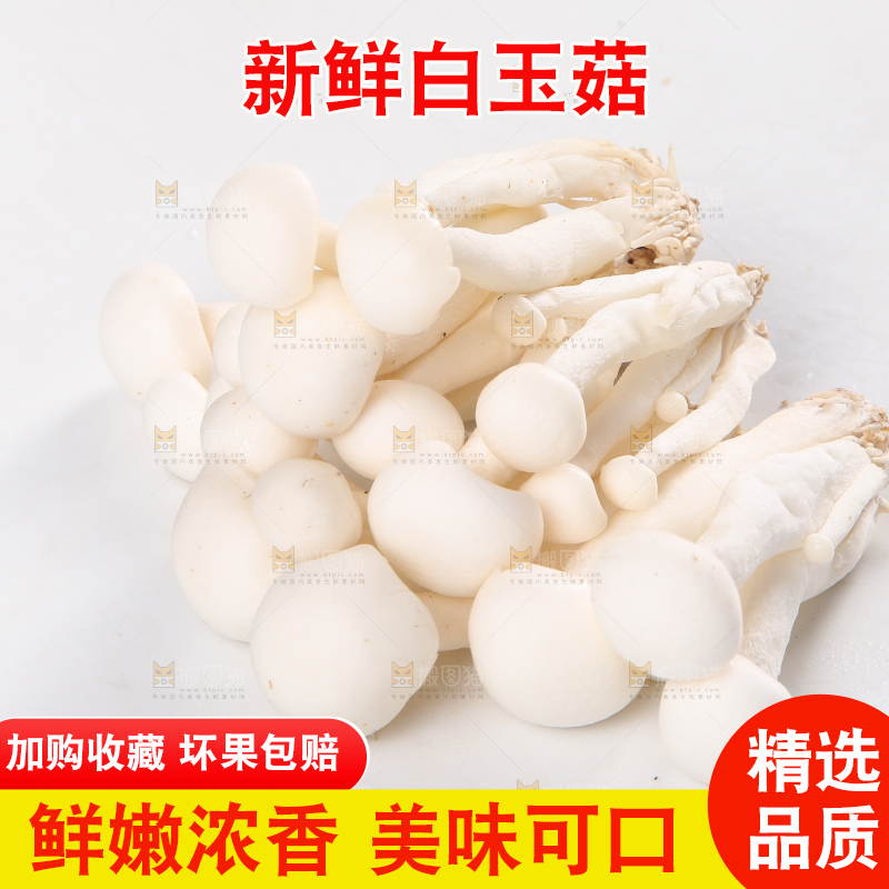 白底上的白玉菇