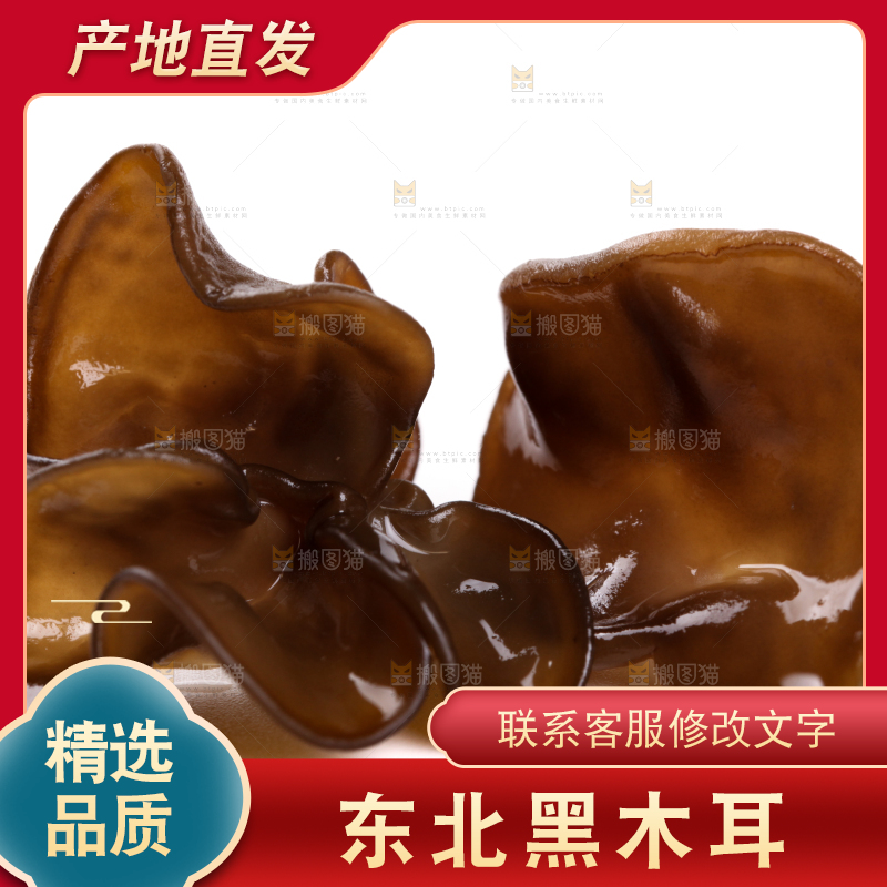 白底上的黑木耳