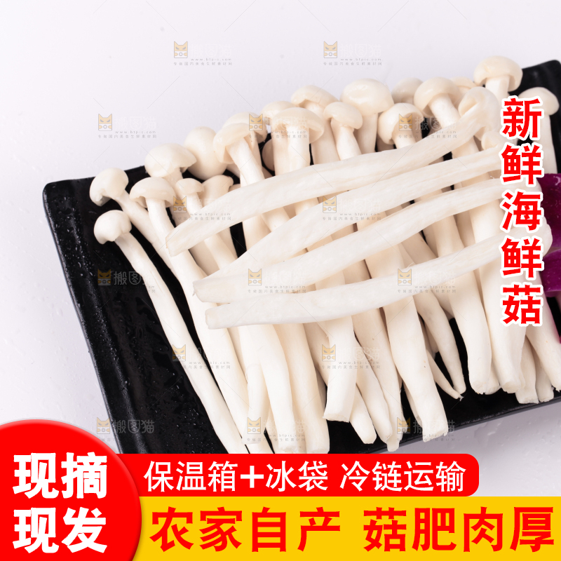 白底上的海鲜菇
